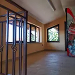 Casa Stef Homestay *